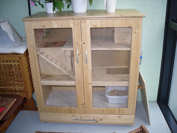 Zwergwidder kaninchen nhd 22) tipps u. bilder für innen u ...