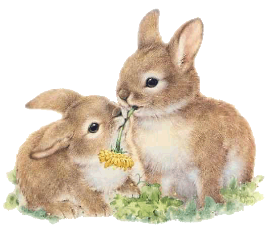 clipart gratuit lapin - photo #45